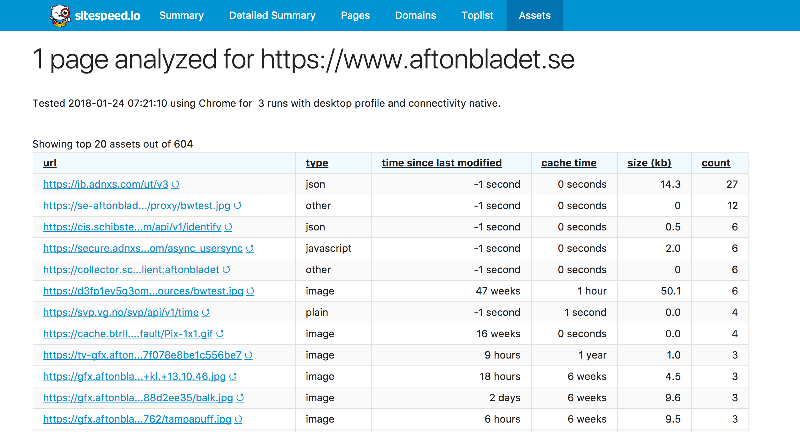 Asset info for WebPageTest