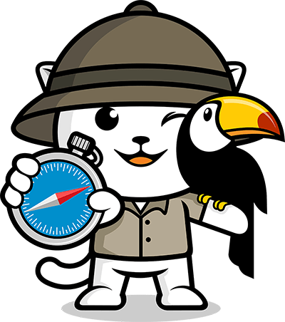 Run Browsertime Safari